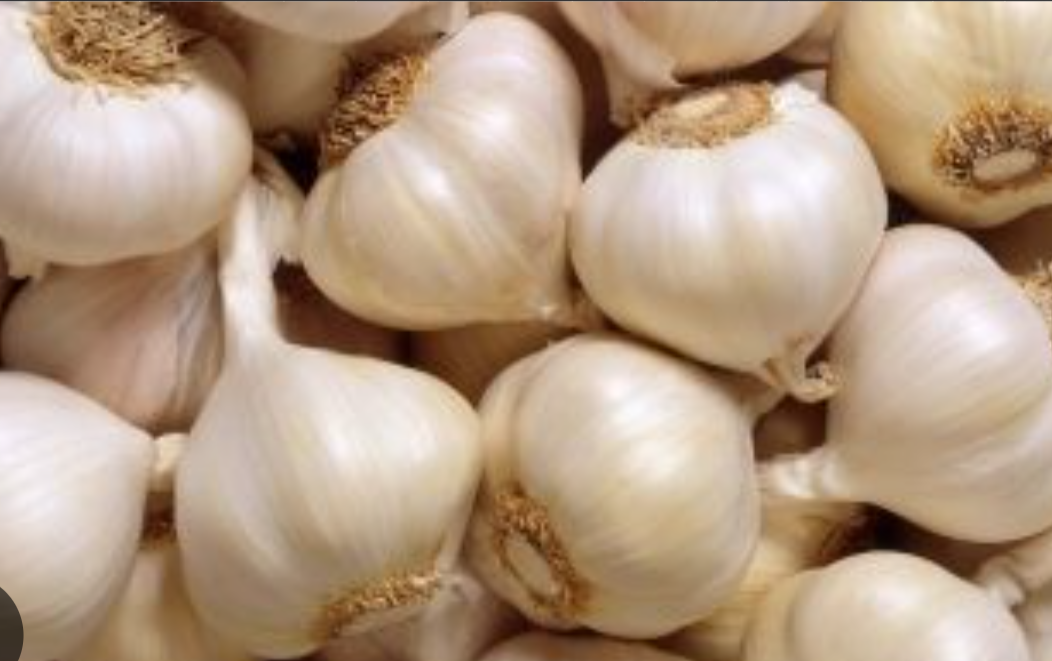 garlic